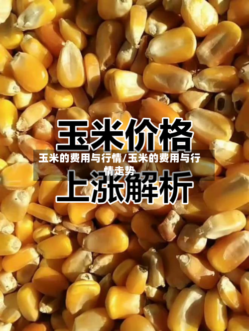 玉米的费用与行情/玉米的费用与行情走势