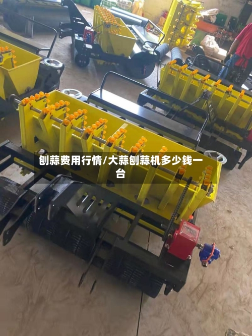 刨蒜费用行情/大蒜刨蒜机多少钱一台-第2张图片