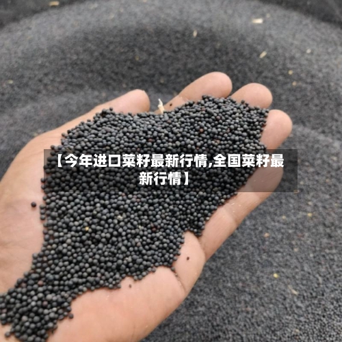 【今年进口菜籽最新行情,全国菜籽最新行情】