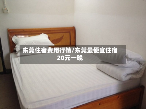东莞住宿费用行情/东莞最便宜住宿20元一晚-第2张图片