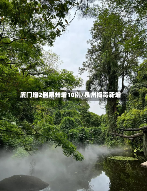 厦门增2例泉州增10例/泉州梅毒新增