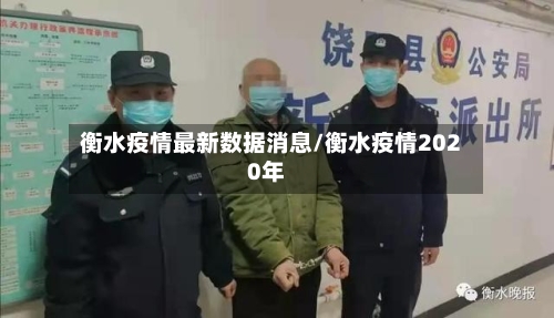 衡水疫情最新数据消息/衡水疫情2020年-第2张图片