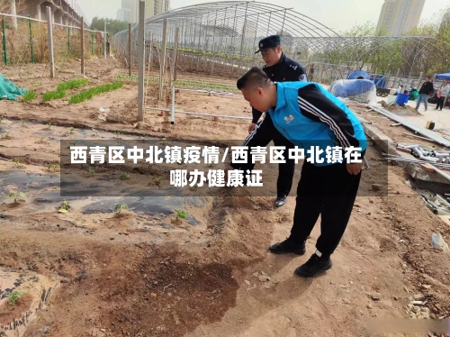 西青区中北镇疫情/西青区中北镇在哪办健康证