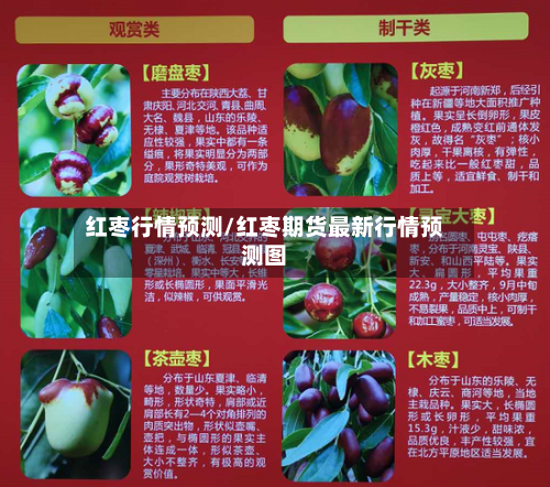 红枣行情预测/红枣期货最新行情预测图