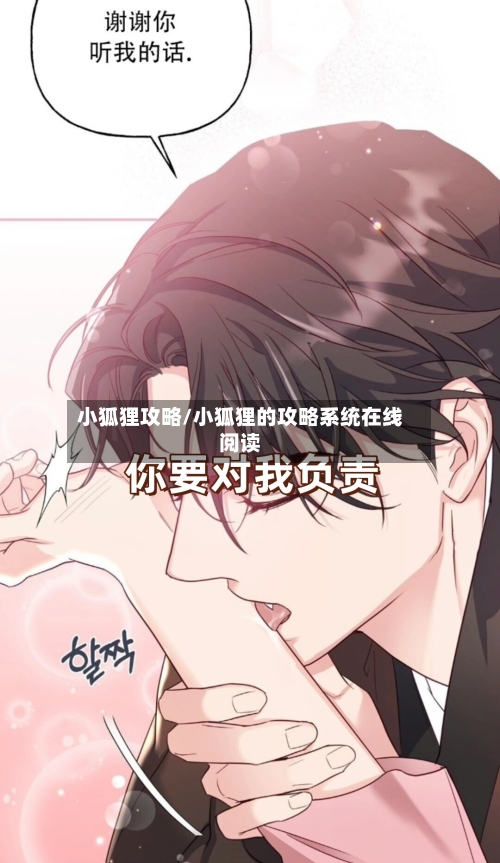 小狐狸攻略/小狐狸的攻略系统在线阅读-第2张图片