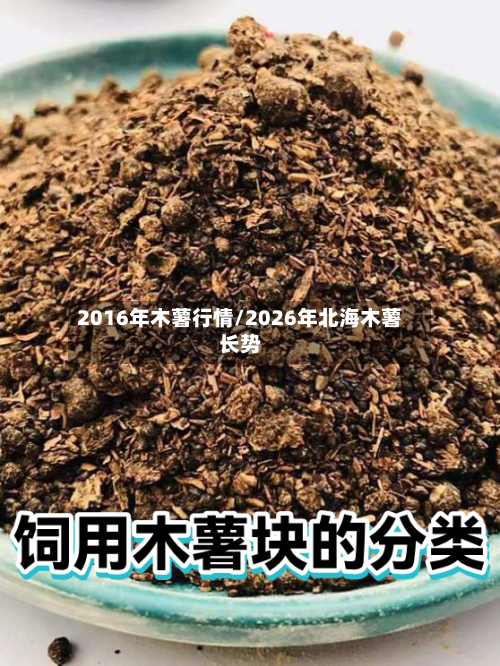 2016年木薯行情/2026年北海木薯长势-第2张图片