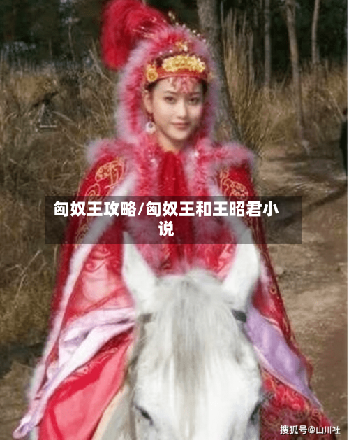 匈奴王攻略/匈奴王和王昭君小说