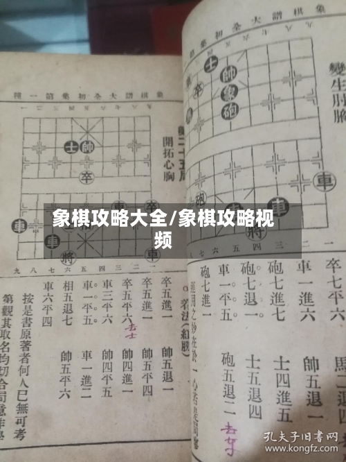 象棋攻略大全/象棋攻略视频