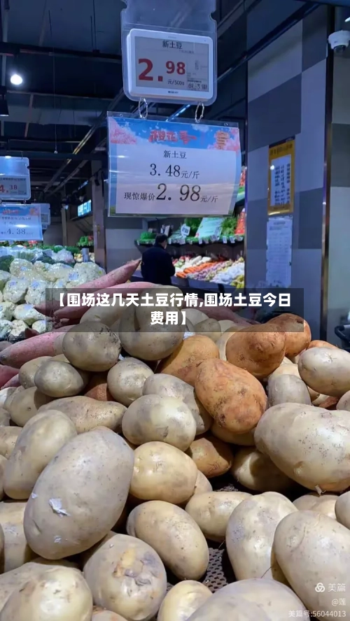【围场这几天土豆行情,围场土豆今日费用】