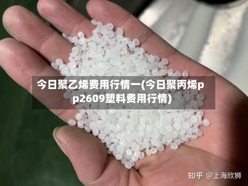 今日聚乙烯费用行情一(今日聚丙烯pp2609塑料费用行情)-第3张图片
