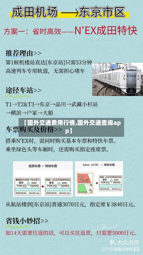 【国外交通费用行情,国外交通查询app】