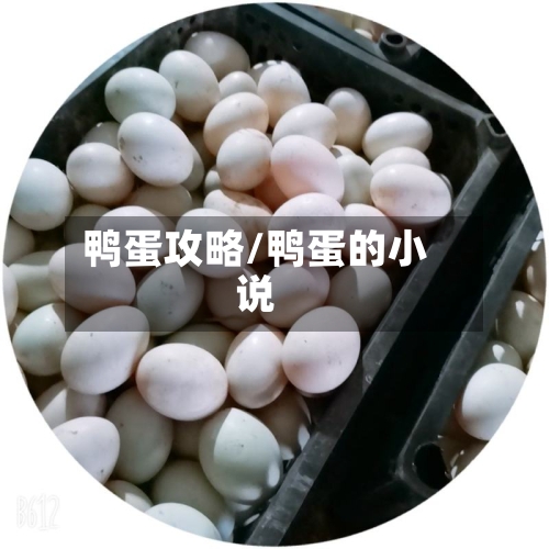 鸭蛋攻略/鸭蛋的小说-第3张图片