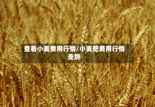 查看小麦费用行情/小麦肥费用行情走势-第3张图片