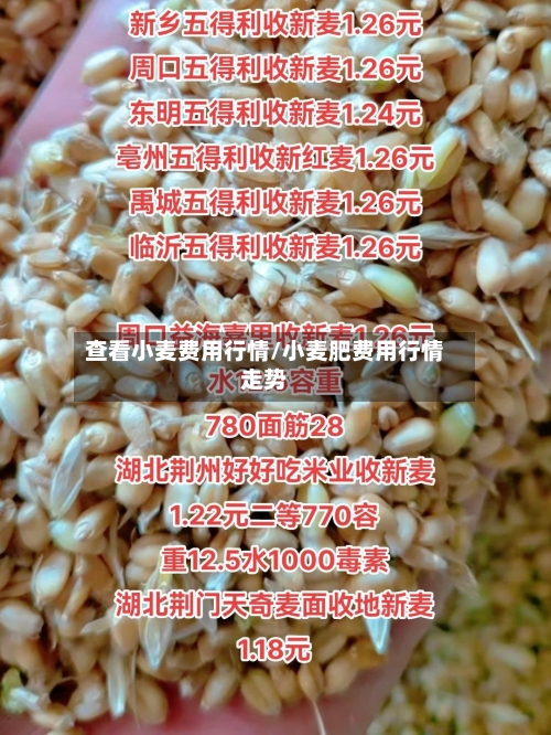 查看小麦费用行情/小麦肥费用行情走势