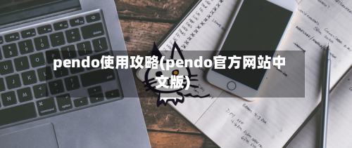 pendo使用攻略(pendo官方网站中文版)