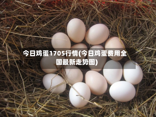 今日鸡蛋1705行情(今日鸡蛋费用全国最新走势图)