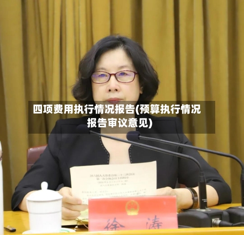 四项费用执行情况报告(预算执行情况报告审议意见)