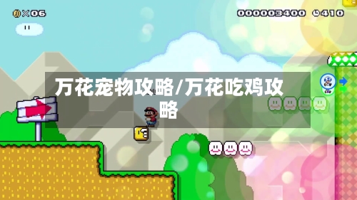 万花宠物攻略/万花吃鸡攻略