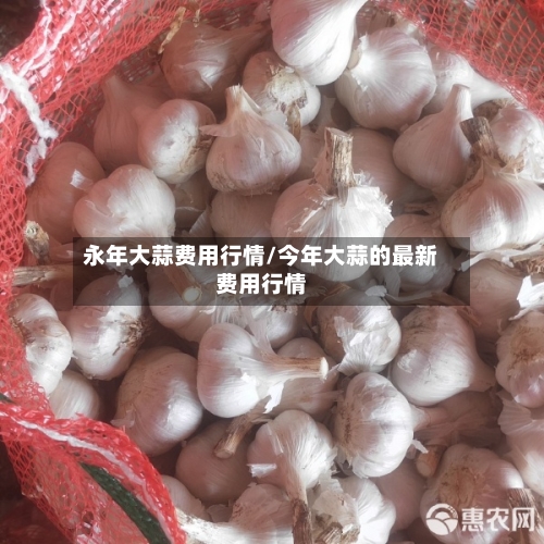 永年大蒜费用行情/今年大蒜的最新费用行情