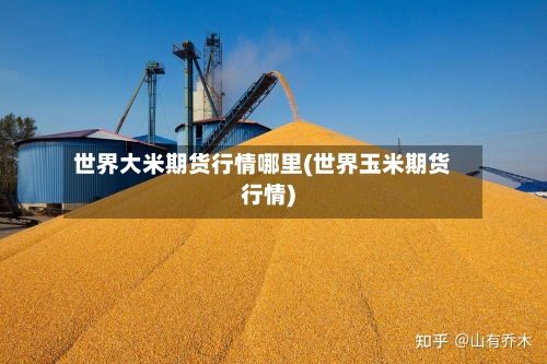 世界大米期货行情哪里(世界玉米期货行情)