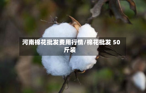 河南棉花批发费用行情/棉花批发 50斤装