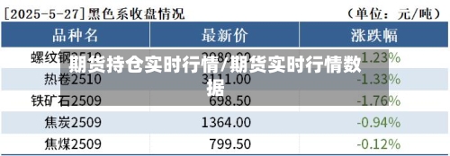 期货持仓实时行情/期货实时行情数据-第2张图片