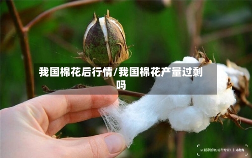 我国棉花后行情/我国棉花产量过剩吗-第2张图片