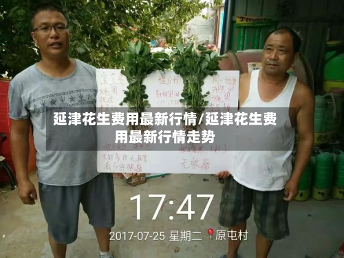 延津花生费用最新行情/延津花生费用最新行情走势