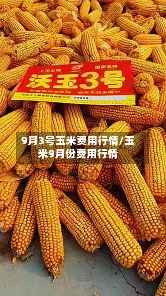9月3号玉米费用行情/玉米9月份费用行情-第2张图片