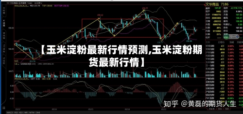 【玉米淀粉最新行情预测,玉米淀粉期货最新行情】-第3张图片