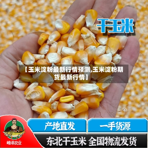【玉米淀粉最新行情预测,玉米淀粉期货最新行情】-第2张图片