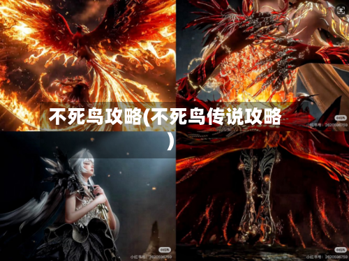 不死鸟攻略(不死鸟传说攻略)-第2张图片