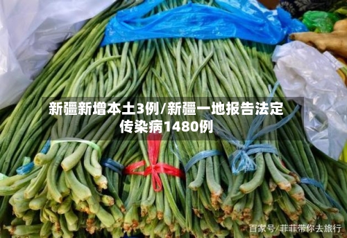 新疆新增本土3例/新疆一地报告法定传染病1480例-第2张图片