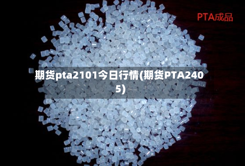 期货pta2101今日行情(期货PTA2405)-第2张图片