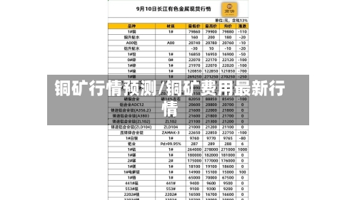 铜矿行情预测/铜矿费用最新行情