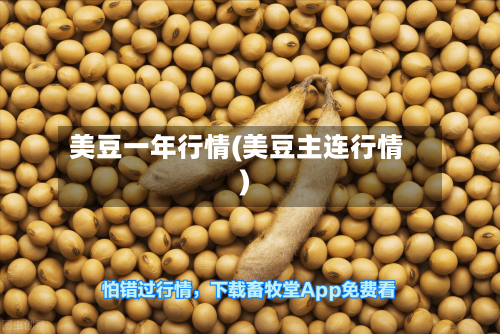 美豆一年行情(美豆主连行情)-第3张图片