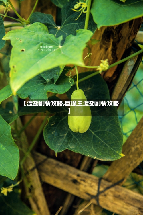 【渡劫剧情攻略,巨魔王渡劫剧情攻略】