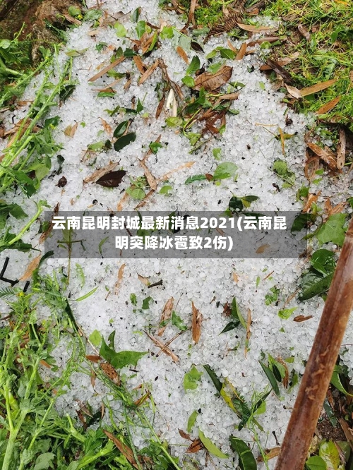 云南昆明封城最新消息2021(云南昆明突降冰雹致2伤)-第2张图片