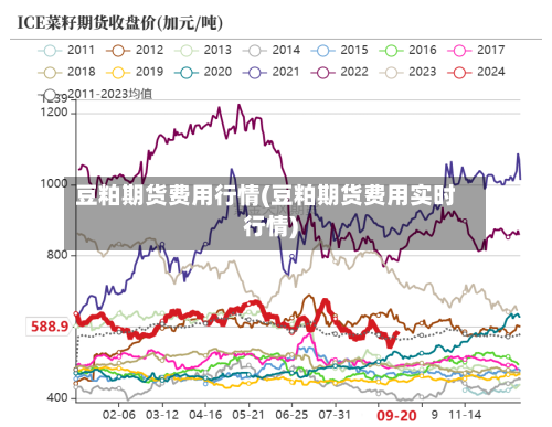 豆粕期货费用行情(豆粕期货费用实时行情)