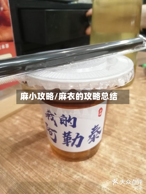 麻小攻略/麻衣的攻略总结-第2张图片