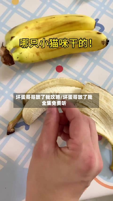 坏蛋哥哥放了我攻略/坏蛋哥放了我全集免费听-第2张图片