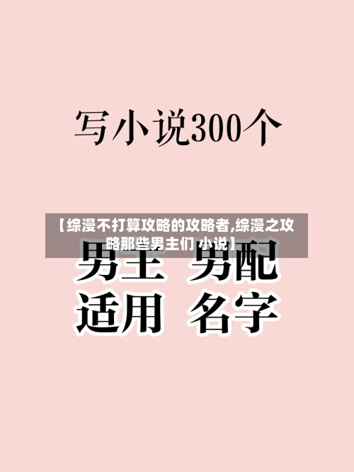 【综漫不打算攻略的攻略者,综漫之攻略那些男主们 小说】