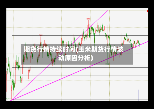 期货行情持续时间(玉米期货行情波动原因分析)