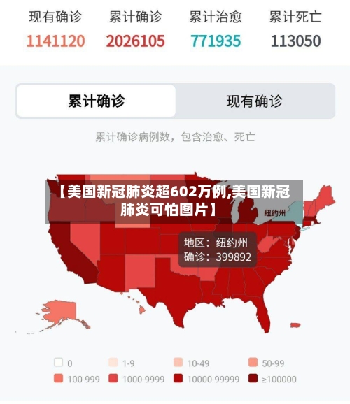 【美国新冠肺炎超602万例,美国新冠肺炎可怕图片】-第2张图片