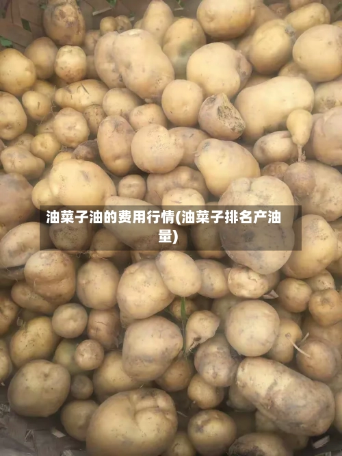油菜子油的费用行情(油菜子排名产油量)