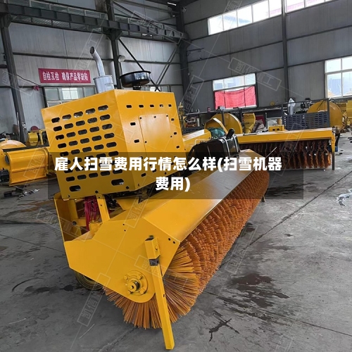 雇人扫雪费用行情怎么样(扫雪机器费用)