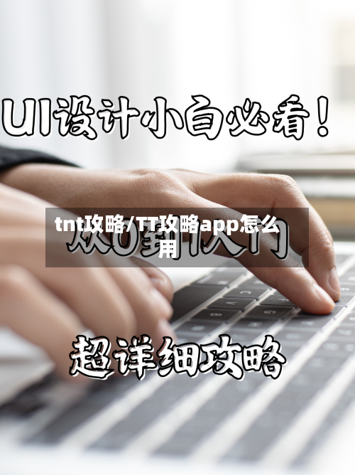 tnt攻略/TT攻略app怎么用-第2张图片