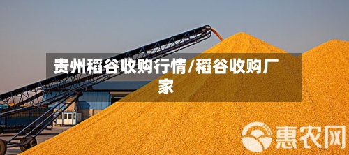 贵州稻谷收购行情/稻谷收购厂家-第2张图片