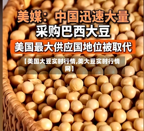 【美国大豆实时行情,美大豆实时行情网】-第3张图片