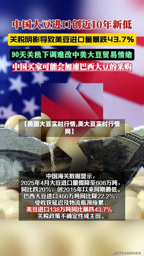 【美国大豆实时行情,美大豆实时行情网】